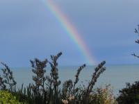 Albums/20060200-New Zealand 2006/20060313-Catlins/64